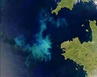 EU court rules against France over nitrates water pollution
