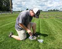 Grow, mow, mulch: Finding lawn's value