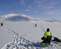 Coal mine dust lowers spectral reflectance of Arctic snow by up to 84 percent