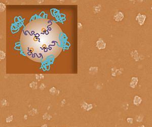 On-demand vaccines possible with engineered nanoparticles