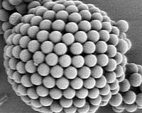 Crystals On A Ball