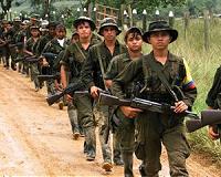 'FARC frog' caught up in Colombian conflict