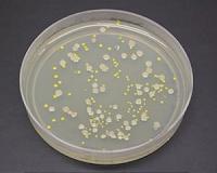 Reenergizing antibiotics in the war against infections