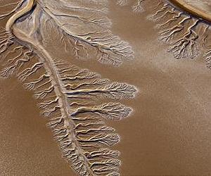 Nature And Humans Leaving Mark On Rivers And Streams, Affecting Aquatic Food Webs