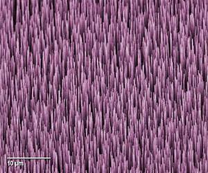 Prototype NIST device measures absolute optical power in fiber at nanowatt levels