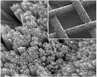 Batteries included: A solar cell that stores its own power