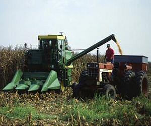 US farmers dodge the impacts of global warming at least for now