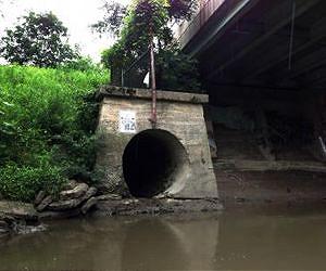 Antibacterial products fuel resistant bacteria in streams and rivers