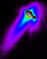 Understanding The Complexity Of Cometary Worlds