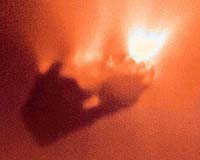 From Mythical Omens Of Doom To Object of Great Desire