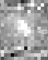 NASA Spacecraft Pinpoints Where the Wild Thing is