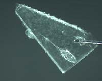 Traveling Space Particles Reveal Secrets Of Comets