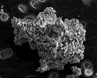 Experiments trace interstellar dust back to solar system's formation