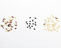 Ancient rice DNA data provides new view of domestication history