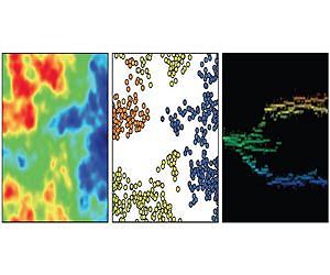 Environmental complexity promotes biodiversity