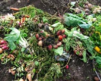 Cornell Recycles Half Its Garbage Into High-quality Compost