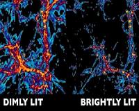 Cosmic accounting reveals missing light crisis