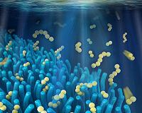Next-generation smartphone battery inspired by the gut