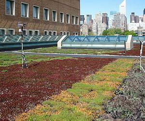 Green roofs as a cost-effective way to keep water out of sewers