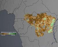 NASA Satellites Show Drought May Take Toll on Congo Rainforest