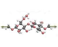 Converting biomass by applying mechanical force