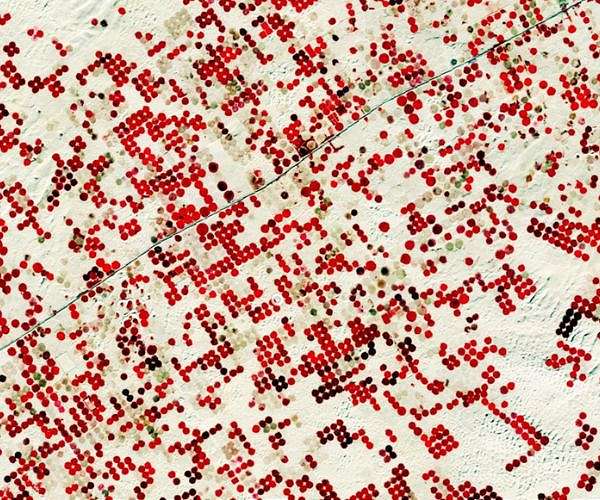 Mapping the Earth's crops