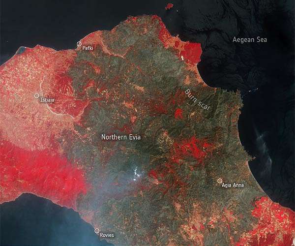 Greece's fire-ravaged Evia will take decades to heal