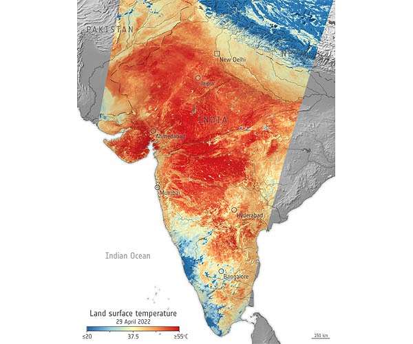 India's 2024 was hottest year since 1901: meteorological office