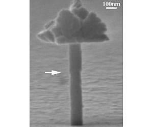 Nano insights could lead to improved nuclear reactors