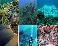 Nuclear technology tracks Caribbean pollution