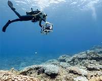 Scripps scientists use photomosaic technology to find order in the chaos of coral reefs