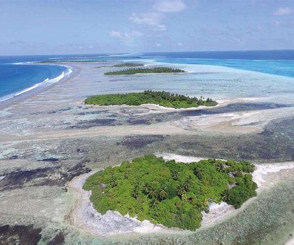 The cement for coral reefs