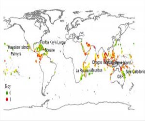 Worldwide map identifies important coral reefs exposed to stress