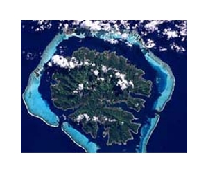 To save corals, save the forests: study