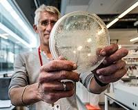Yeast, the final frontier