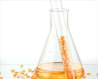 Bioenergy research funding available