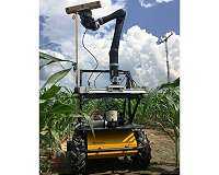 Robotics aid in the study of corn and drought tolerance