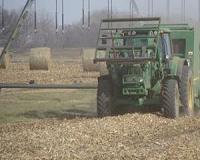Study casts doubt on climate benefit of biofuels from corn residue