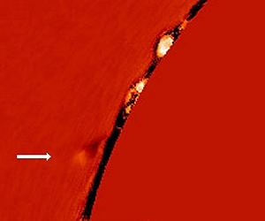 STEREO, SOHO Spacecraft Catch Comet Diving Into Sun