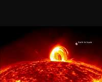 A model will help to understand the solar dynamics