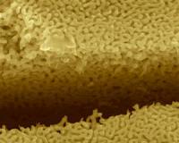 Research findings point way to designing crack-resistant metals