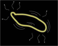 Could The Universe Be Tied Up With Cosmic String