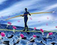 A catalytic balancing act
