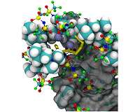 Coupling experiments to theory to build a better battery