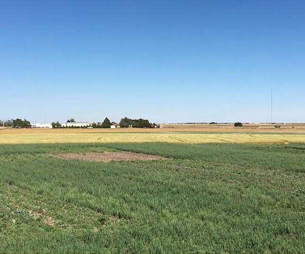 Researcher Investigates Hidden Climate Impacts of Soil and Air