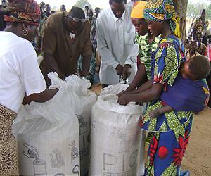Hermetic bags save African crop