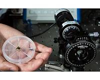 First circularly polarized light detector on a silicon chip