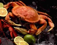 Crustacean Shells Might Hold Secret To Safer Long-Range Space Travel