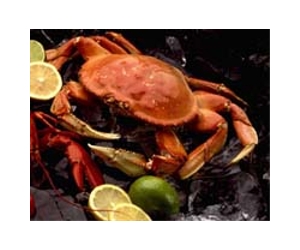 China, Japan, US top list of world seafood consumers: study