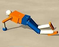 How sensorimotor intelligence may develop